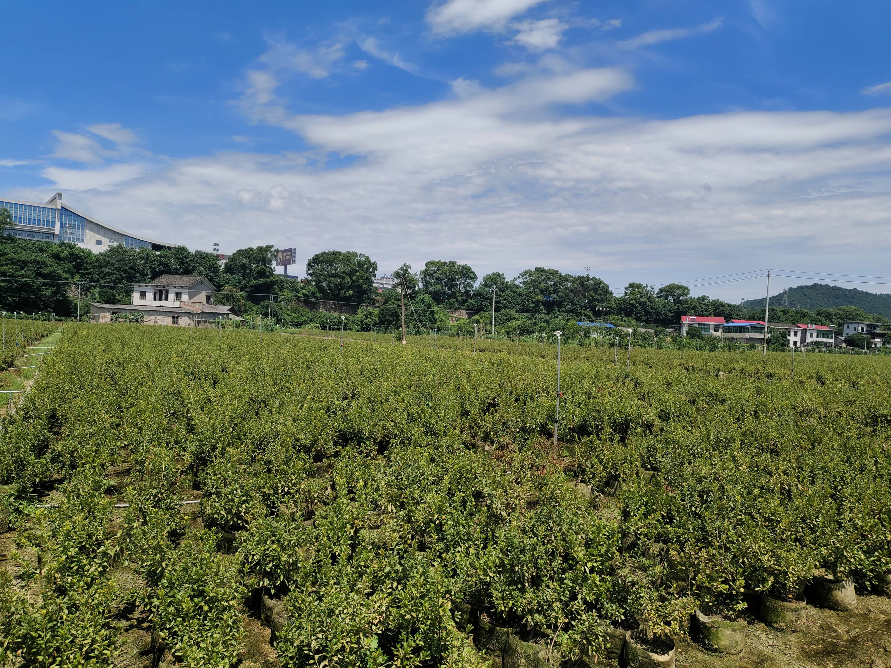 4f58a6a54c9b4b6091ed4f869e7353e2.jpg 4f58a6a54c9b4b6091ed4f869e7353e2.jpg