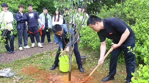 c236693c13a14df08ed426c4ca730953.png 图片8.png