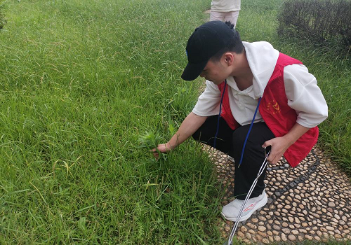 61a38505660d4c17a3620d7fa2050d19.png 图片1.png