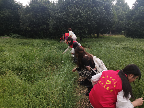 6d4b993b45d7470086057a88df63b89c.png 图片2.png