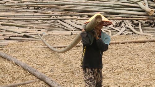 3dba2338a53e40a2b8822c59d1a1798f.jpg 1.jpg