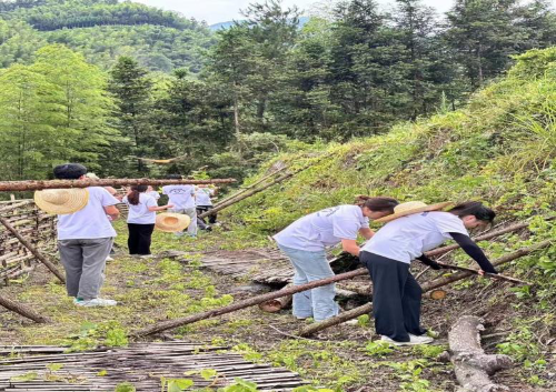 914e32a685294d6c93ba98461e402791.png 图片1.png