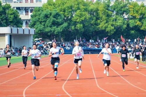 ae261961606640cfa24d98a3b973df39.jpg 04.jpg